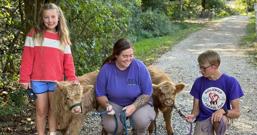 Scottish Highlander Experience in Cleveland, Georgia