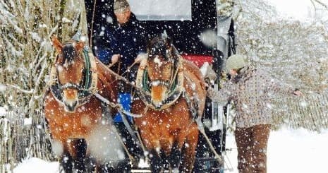 Horse Carriage Tour with All Things Garmisch in Bavaria