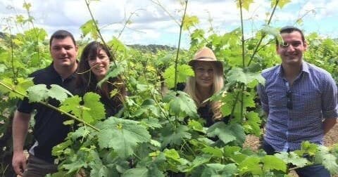 Wine Tasting Journey with DaVine Wine Tours in Windsor