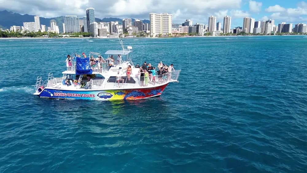 Sunset Humpback Whale Watching Cruise from Waikiki — Whale Guarantee & Hydrophone photo 3