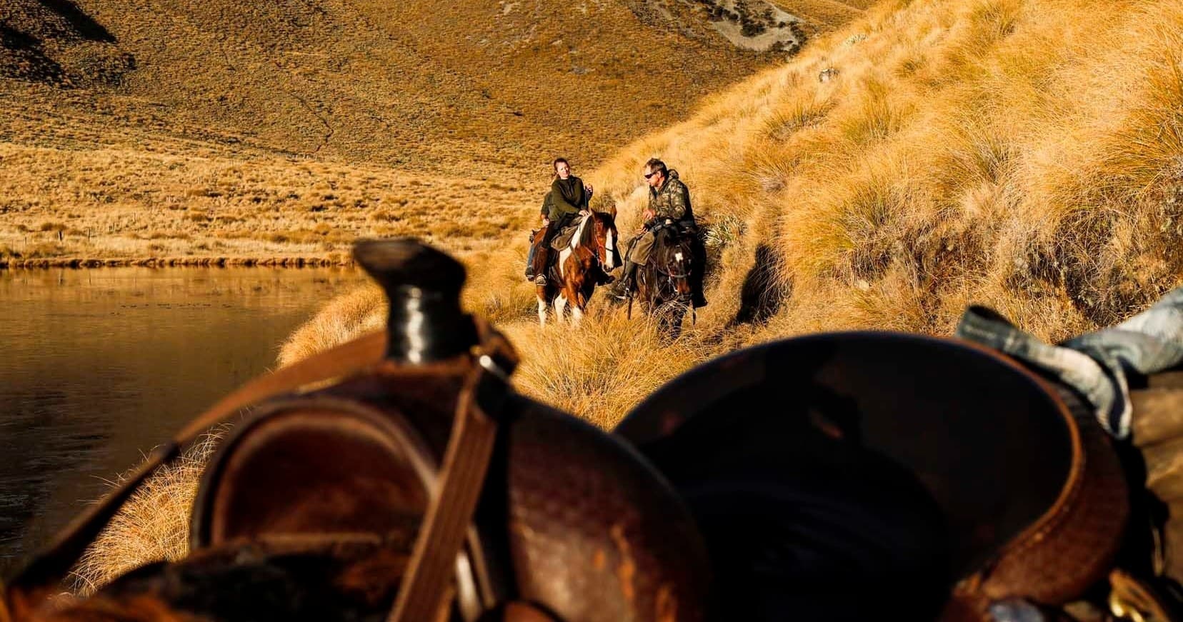 Horseback Picnic Trek with Real Kiwi Horse Trekking