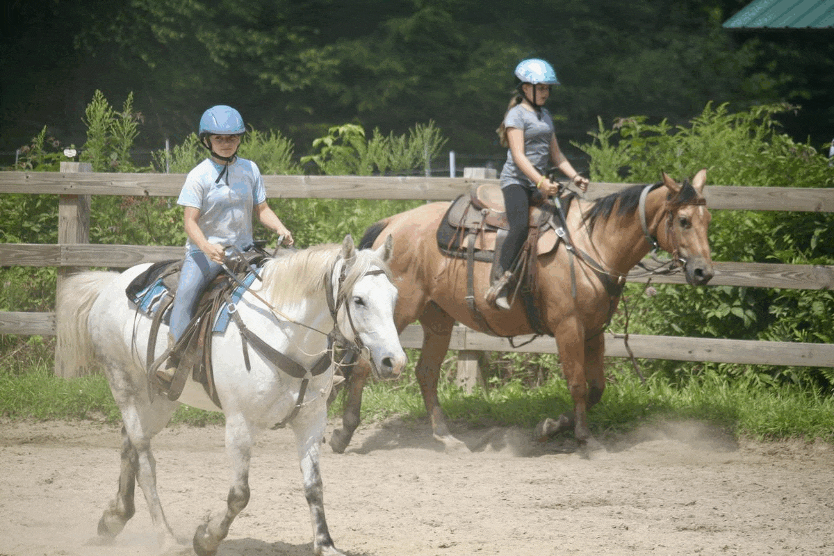 Horseback Riding at Cornerstone Ranch: Group Lessons in [Location]
