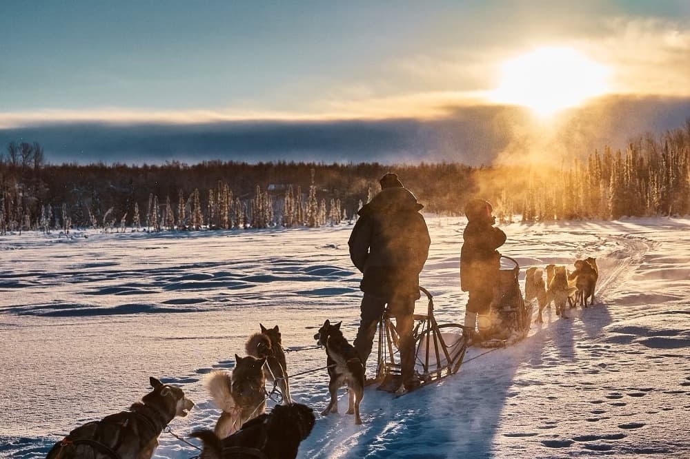 Winter Sled Dog Trip at Alaska Dog Center in Willow