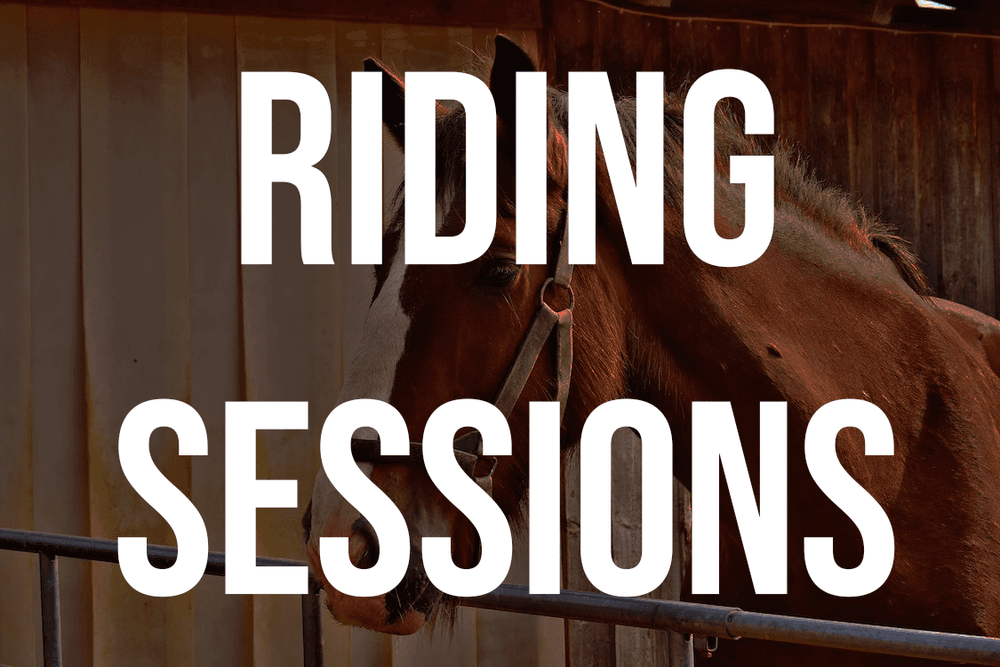 Land Adventures at RNR Stables: Horseback Riding in [Location]