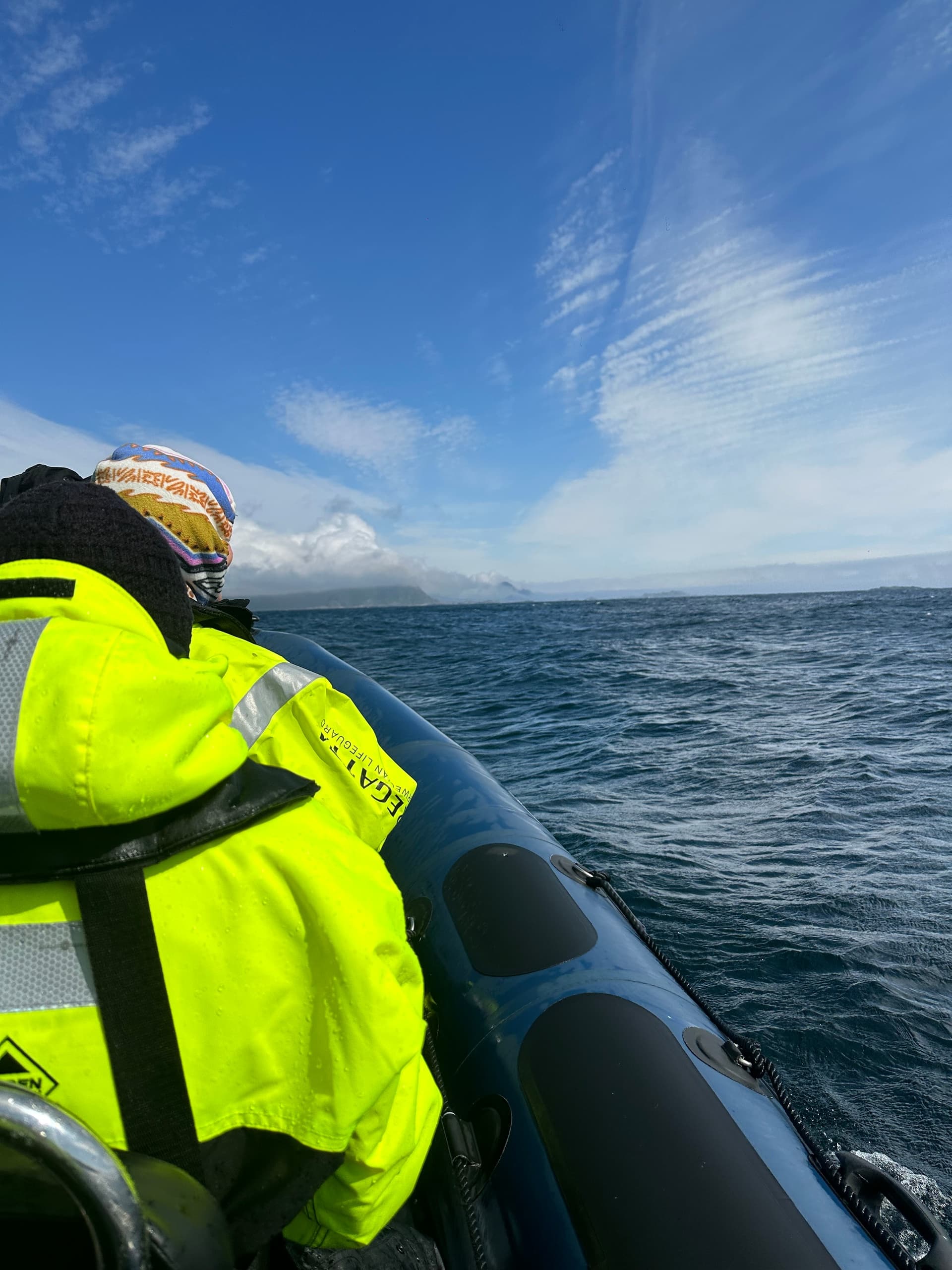 RIB Safari Adventure at Nusfjord Village & Resort