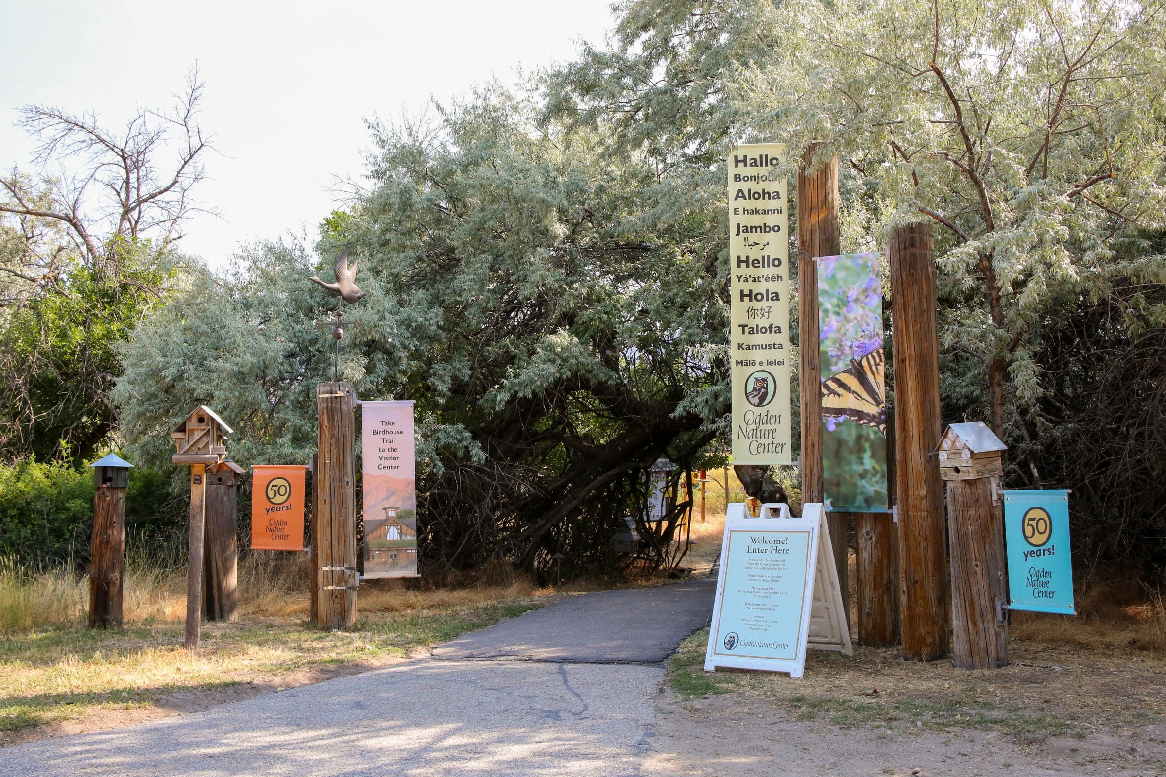 Birding 101 and Community Birdwalk: Learn Local Birds at Ogden Nature Center