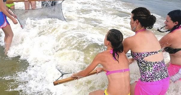 Explore Coastal Ecology with Sift 'N' Seine at Tybee Marine Science Center