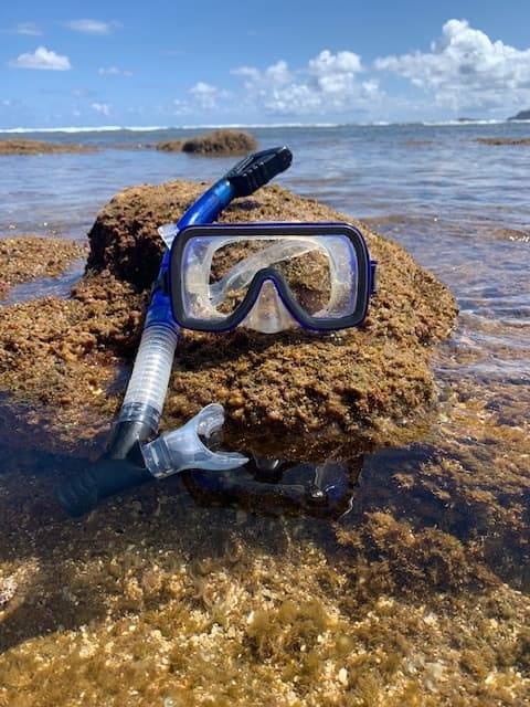 Adult Dry Snorkel+ Mask Adventure in Hanalei, Hawaii