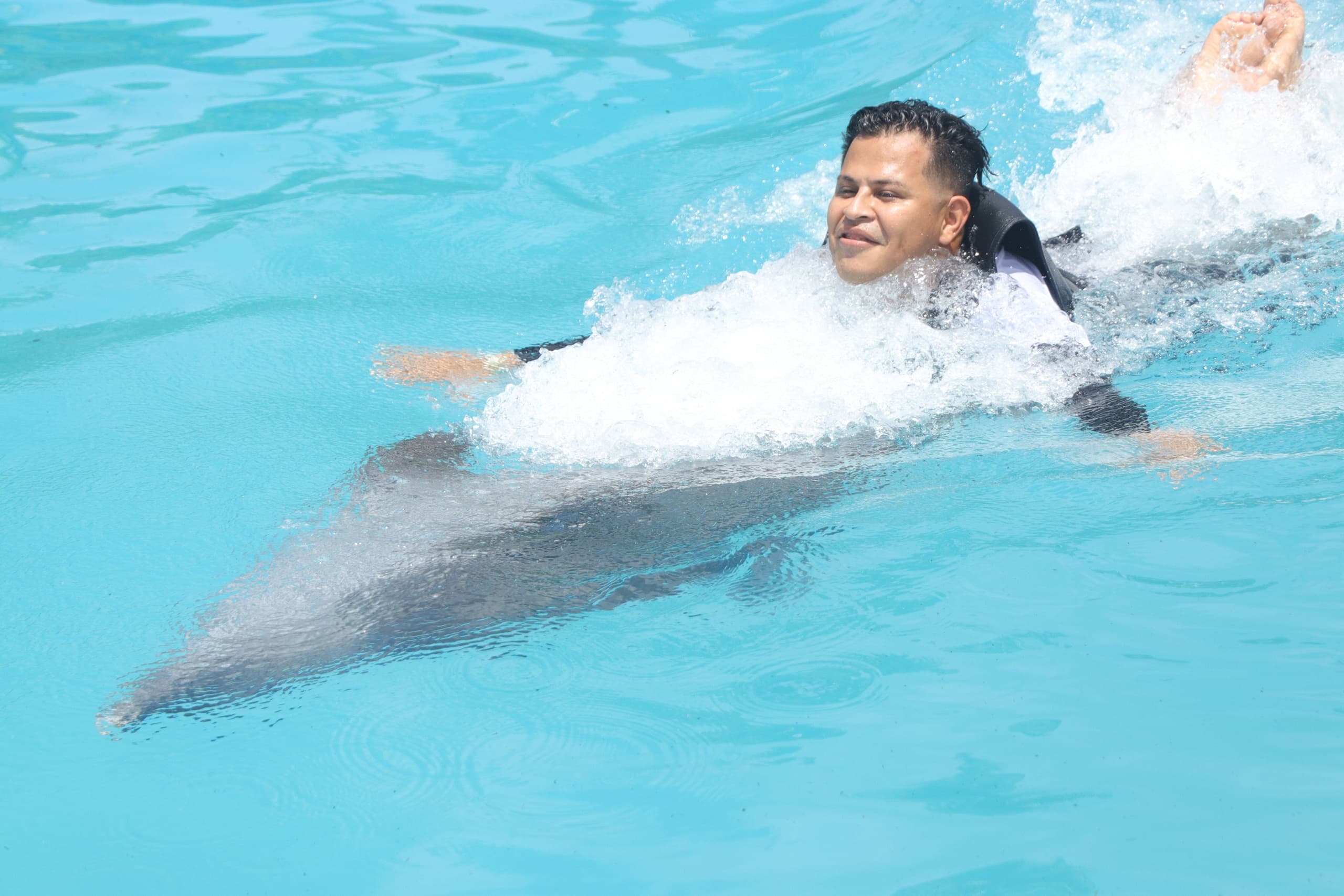 Dolphin Adventure with Aleman Travel Agency in Cancún