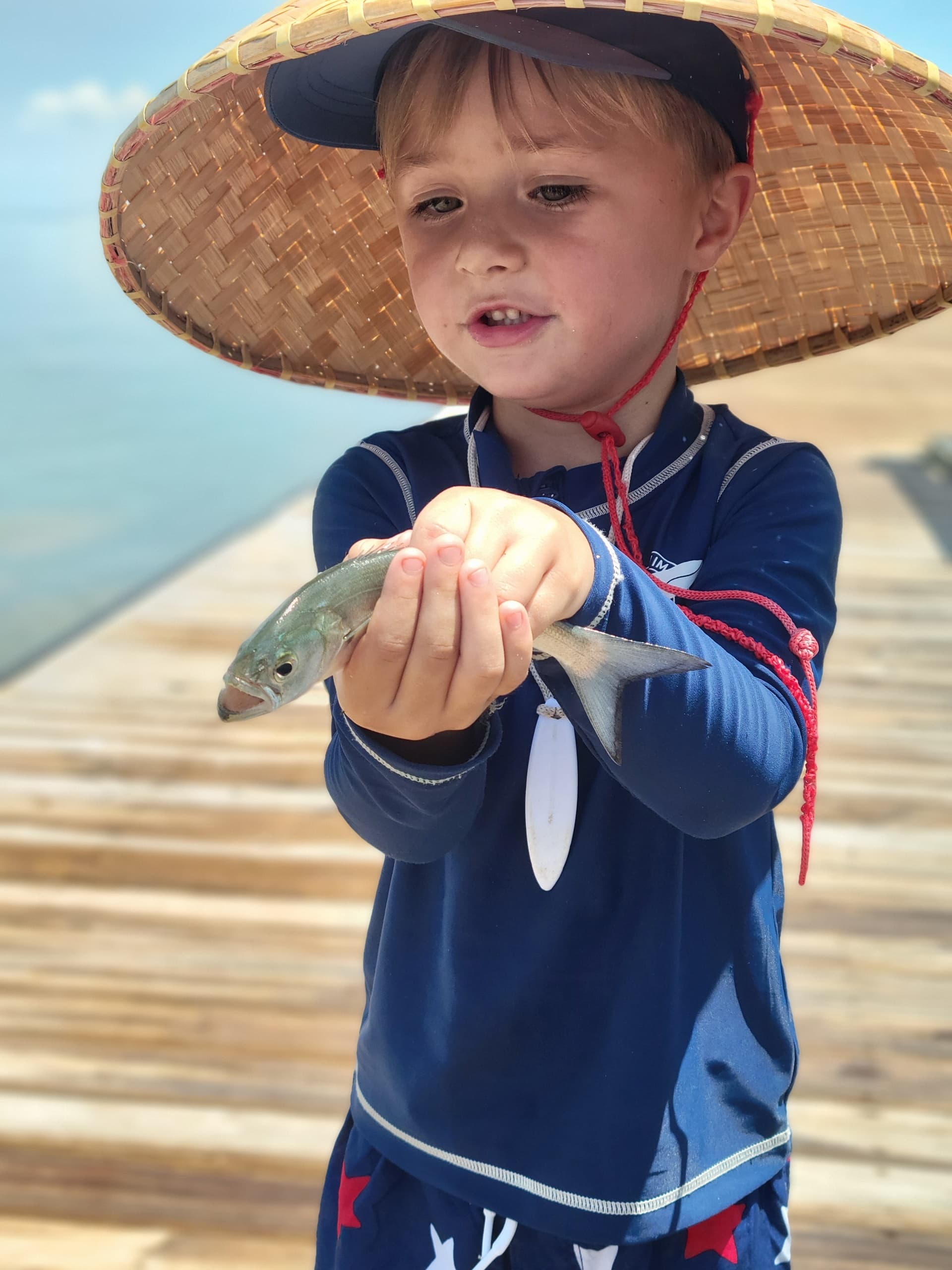 Outdoor Discovery Homeschool on Hilton Head Island: Hands-On Nature Learning for Ages 7–14