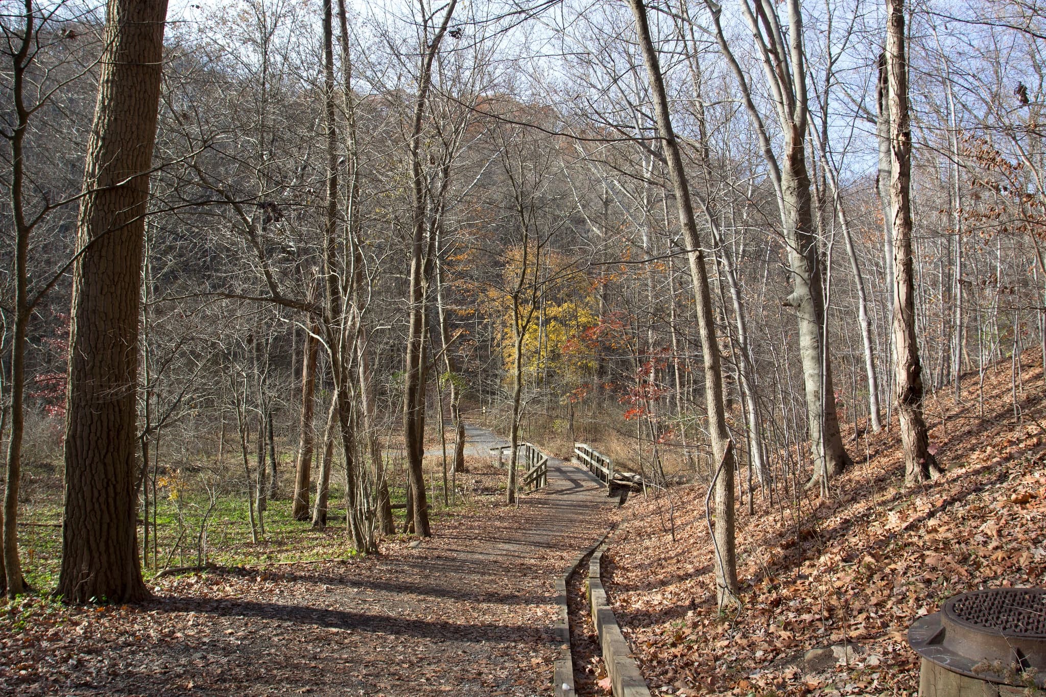 Outdoor Wellness & Nature Walks at Frick Park with Venture Outdoors