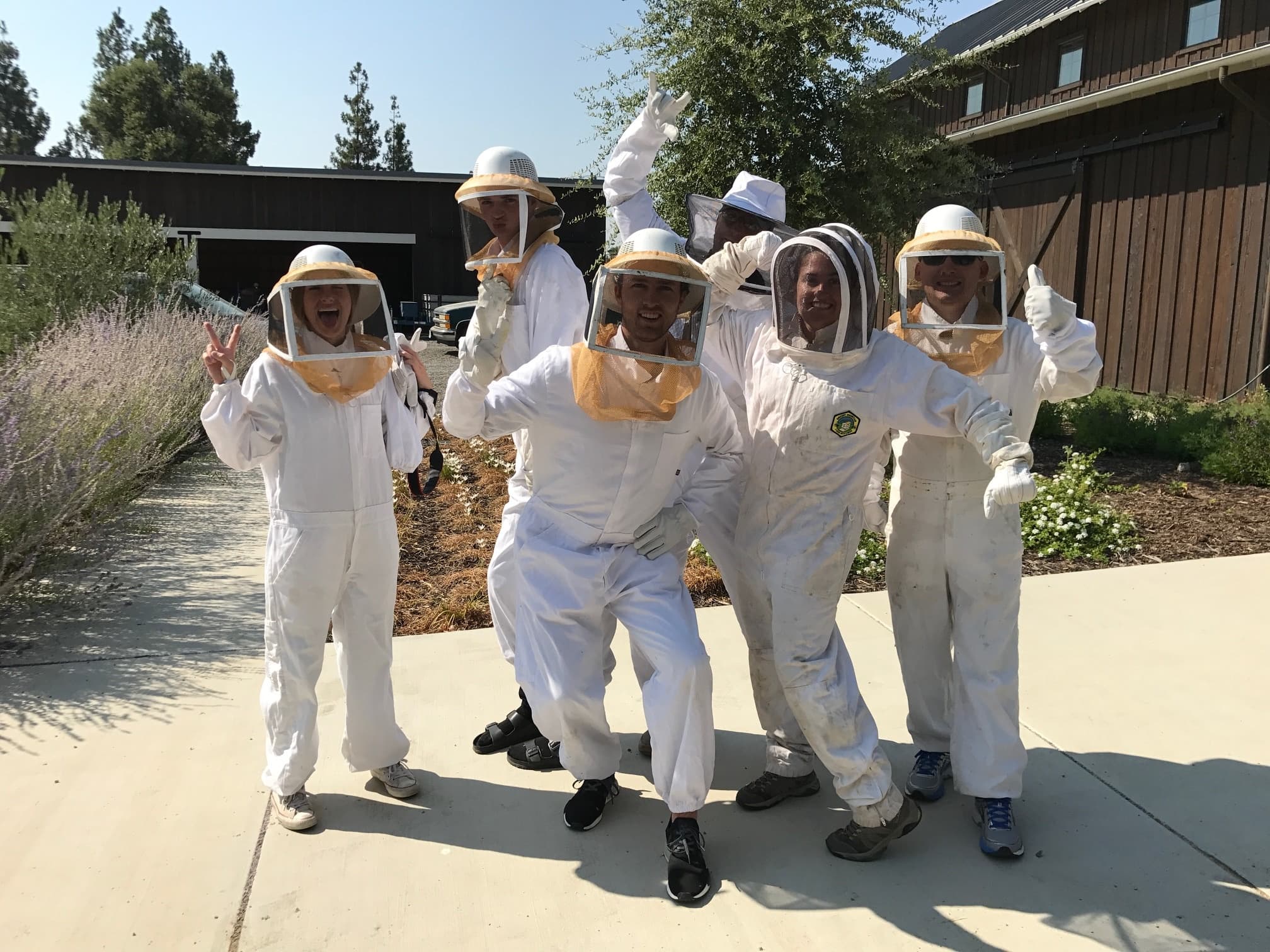 Hive to Spoon: Urban Beekeeping in West Sacramento