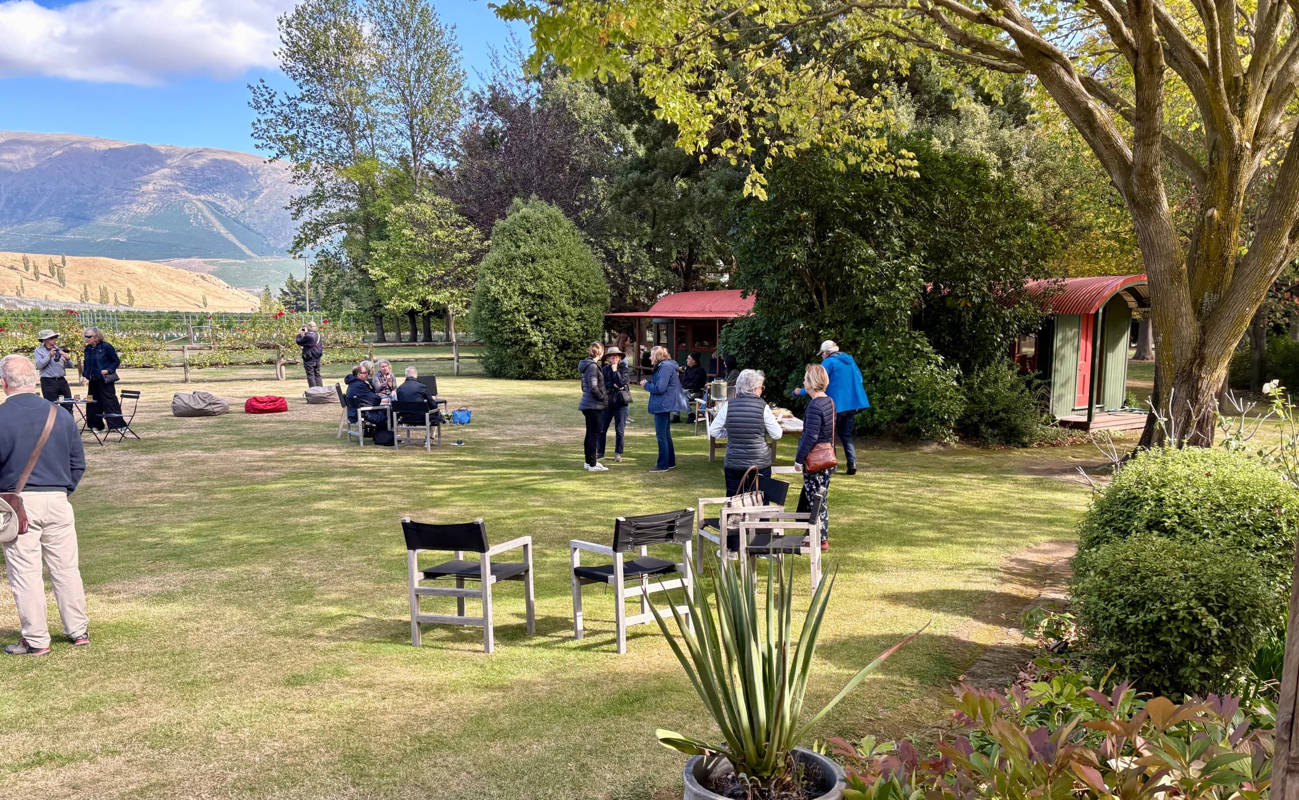Outdoor winery lawn event with guests and scenic vineyard backdrop