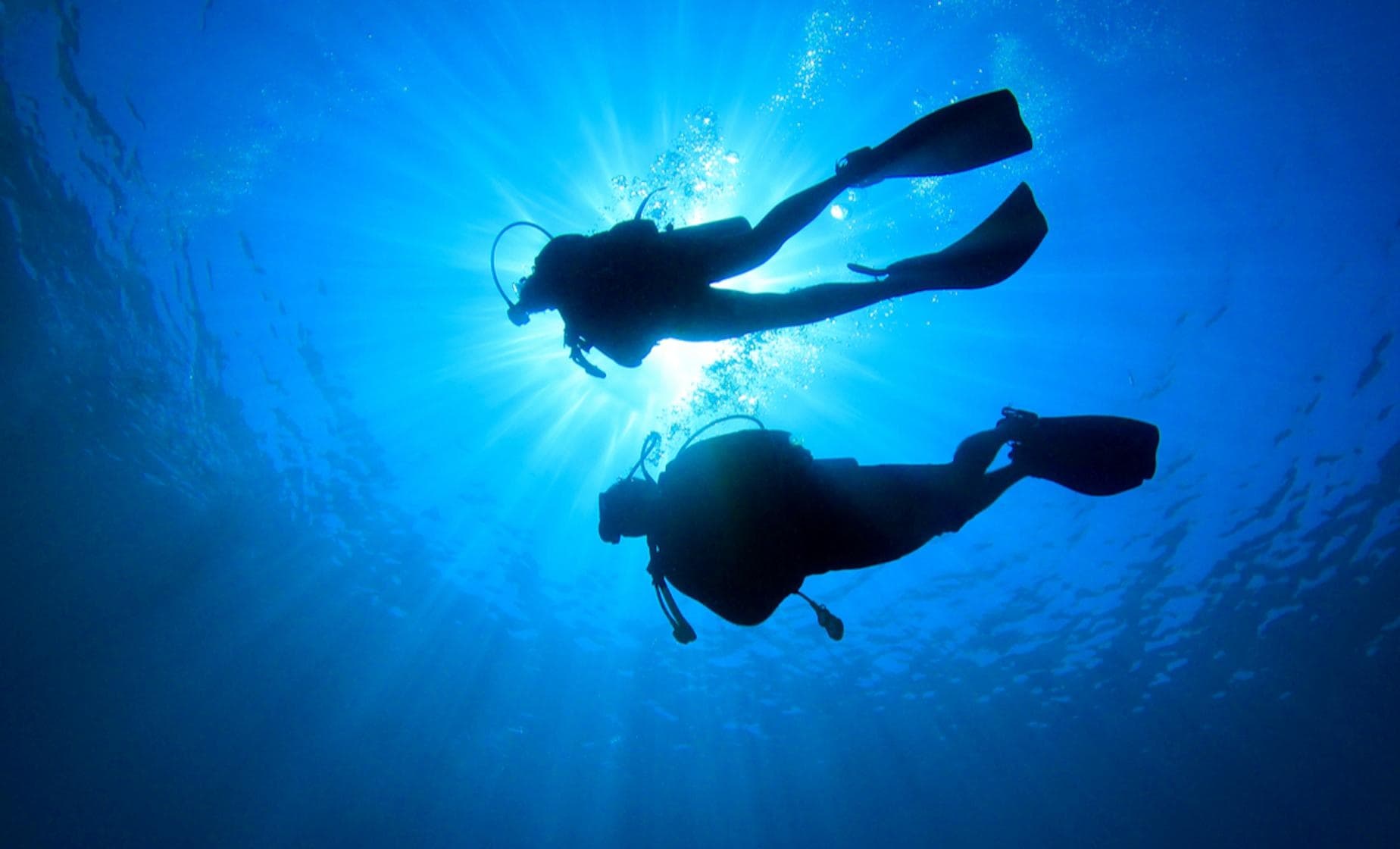 Diving Specialties at Joe's Scuba in the Underwater World