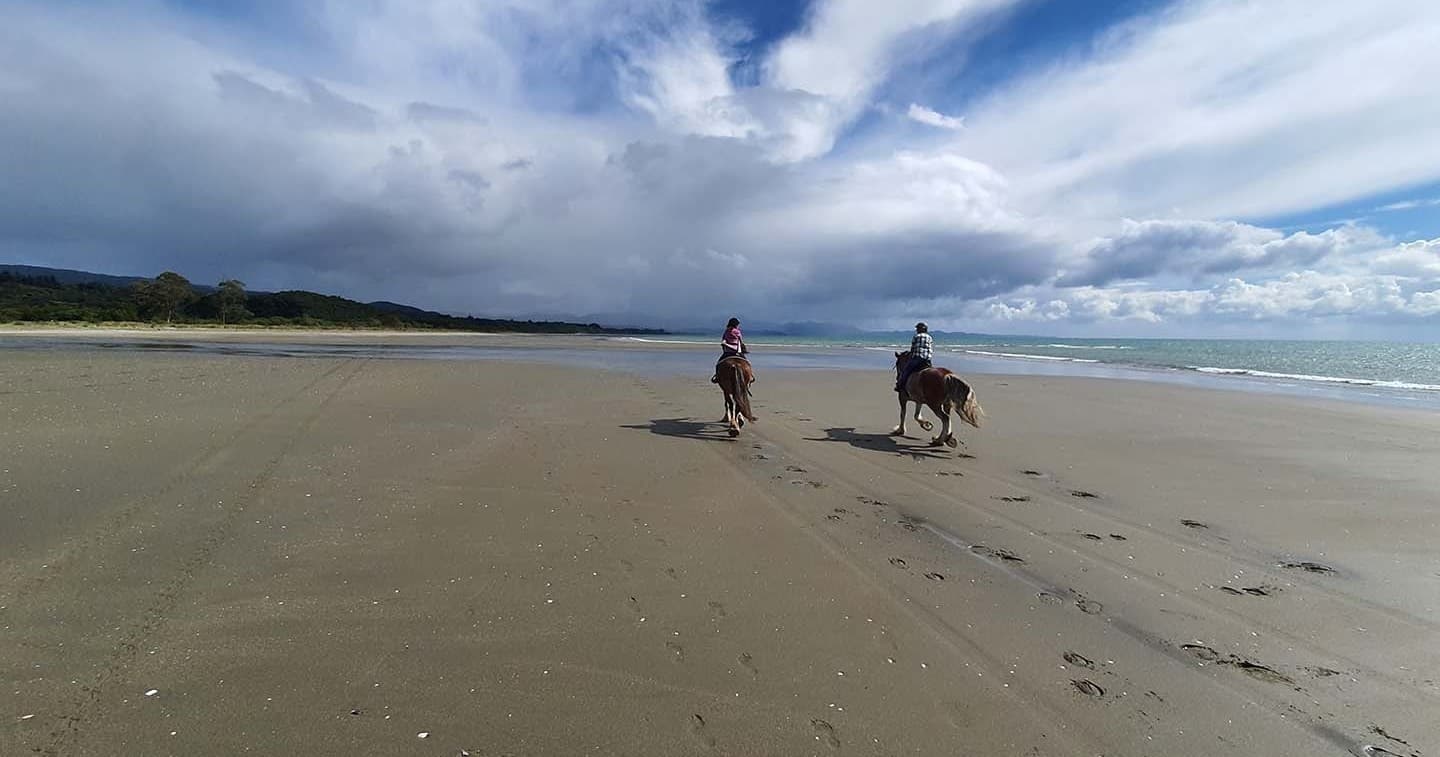 Explore Patons Rock Beach on a Guided Horseback Adventure in New Zealand's Golden Bay