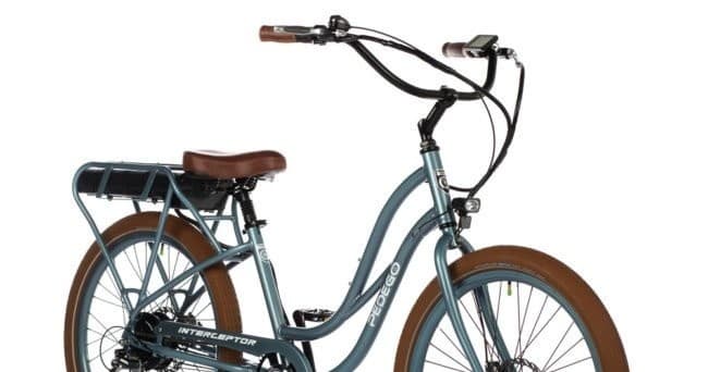 Pedego Electric Bikes Dunedin team