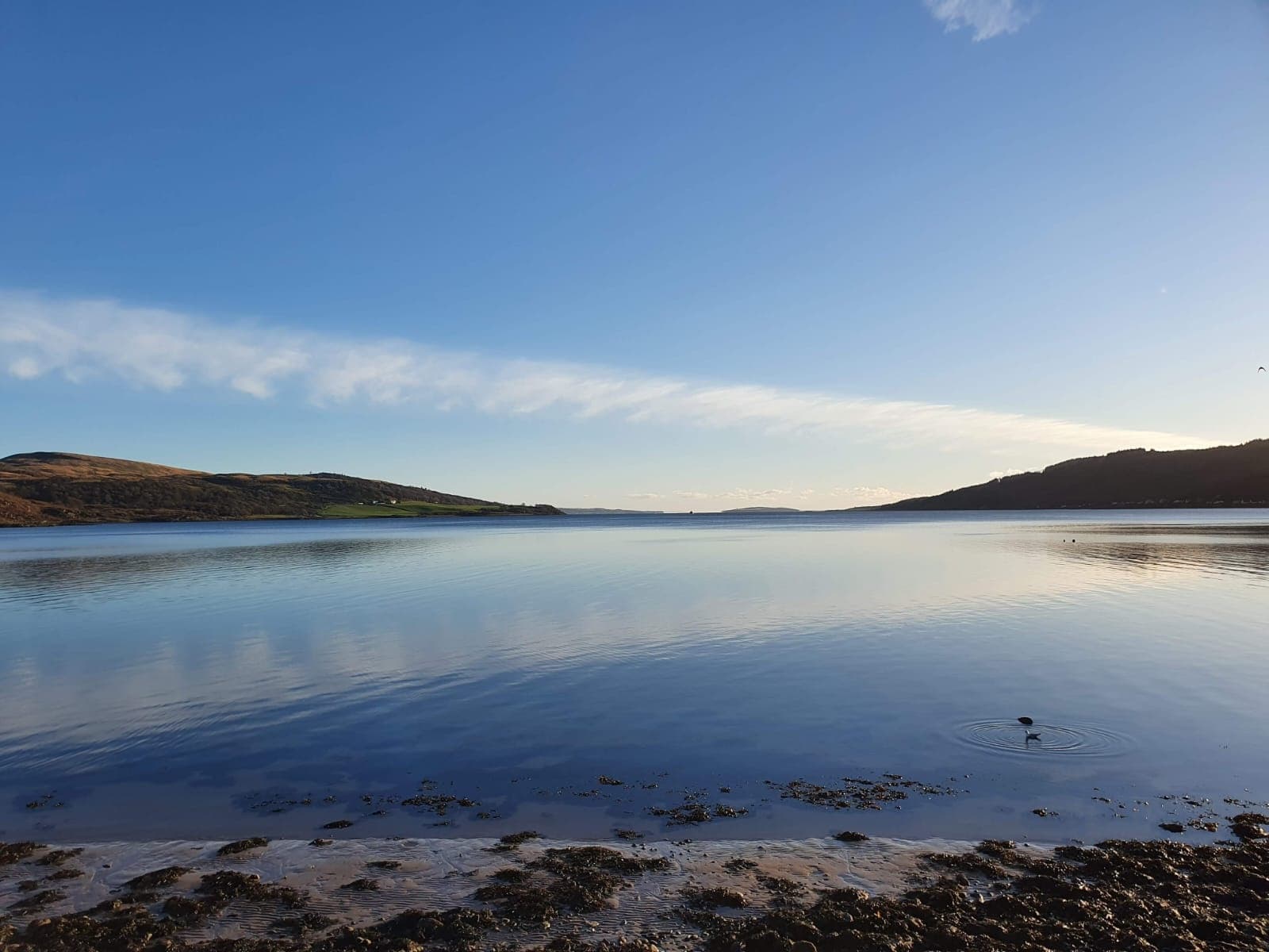 Kyles of Bute Cruise with Cowal Cruises in Scotland