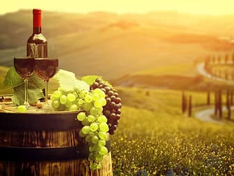 Wine tasting setup in sunlit vineyard rolling hills