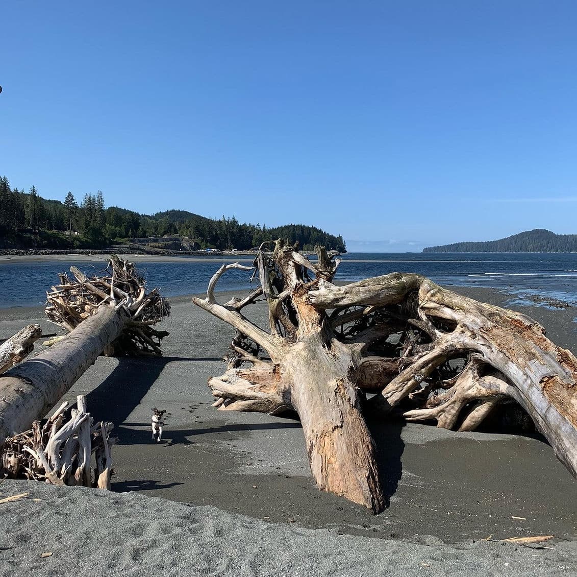 Land Adventures at Pacheedaht Beach with Mystic Beach Adventures Inc