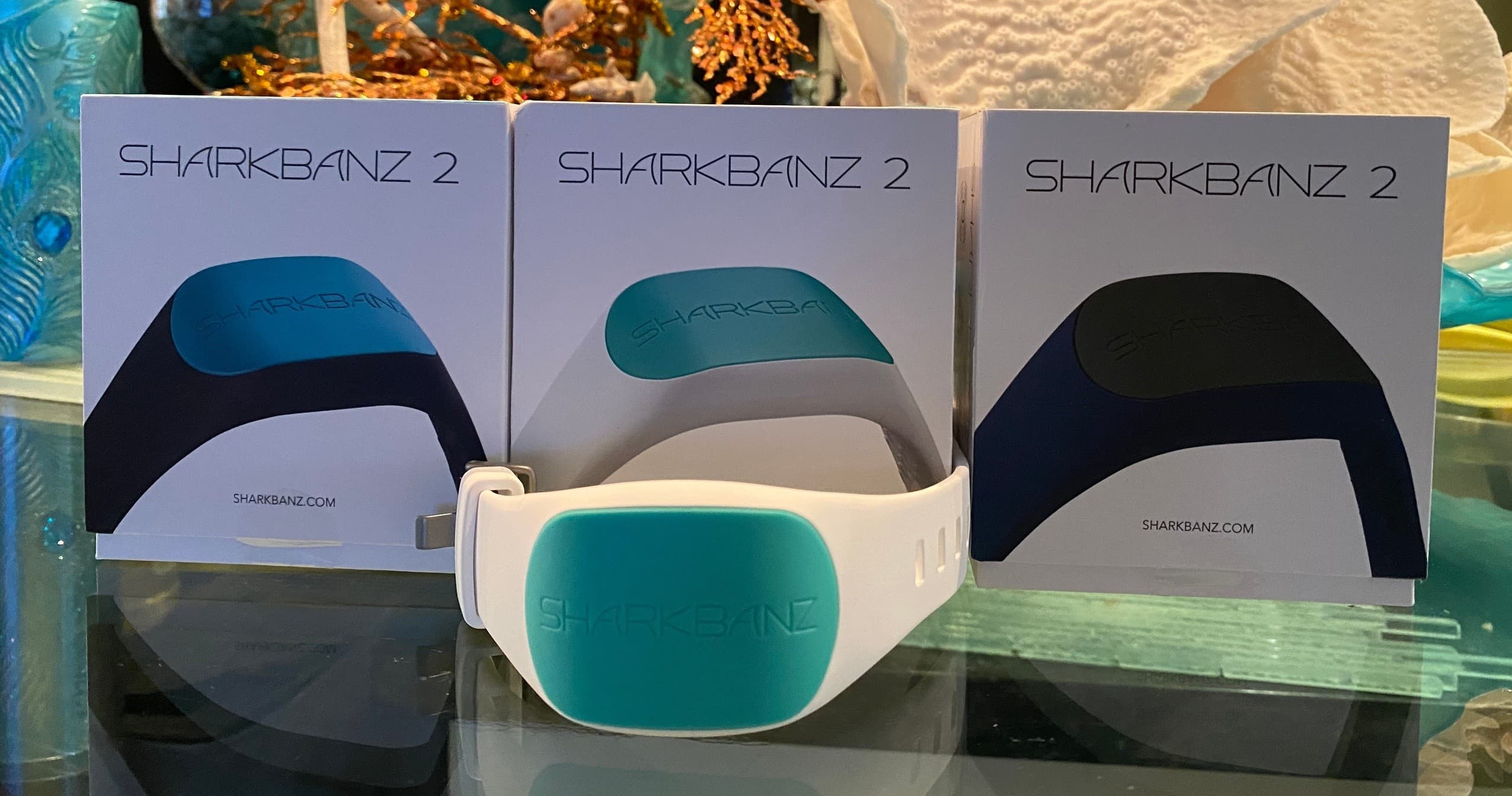 Shark Banz 2 Snorkel Rental in Hawaii