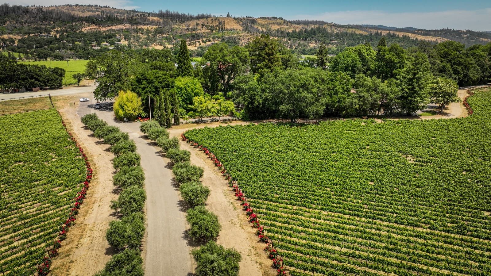 1-Day Bike Rental | St. Helena | Pickup ANY Time!