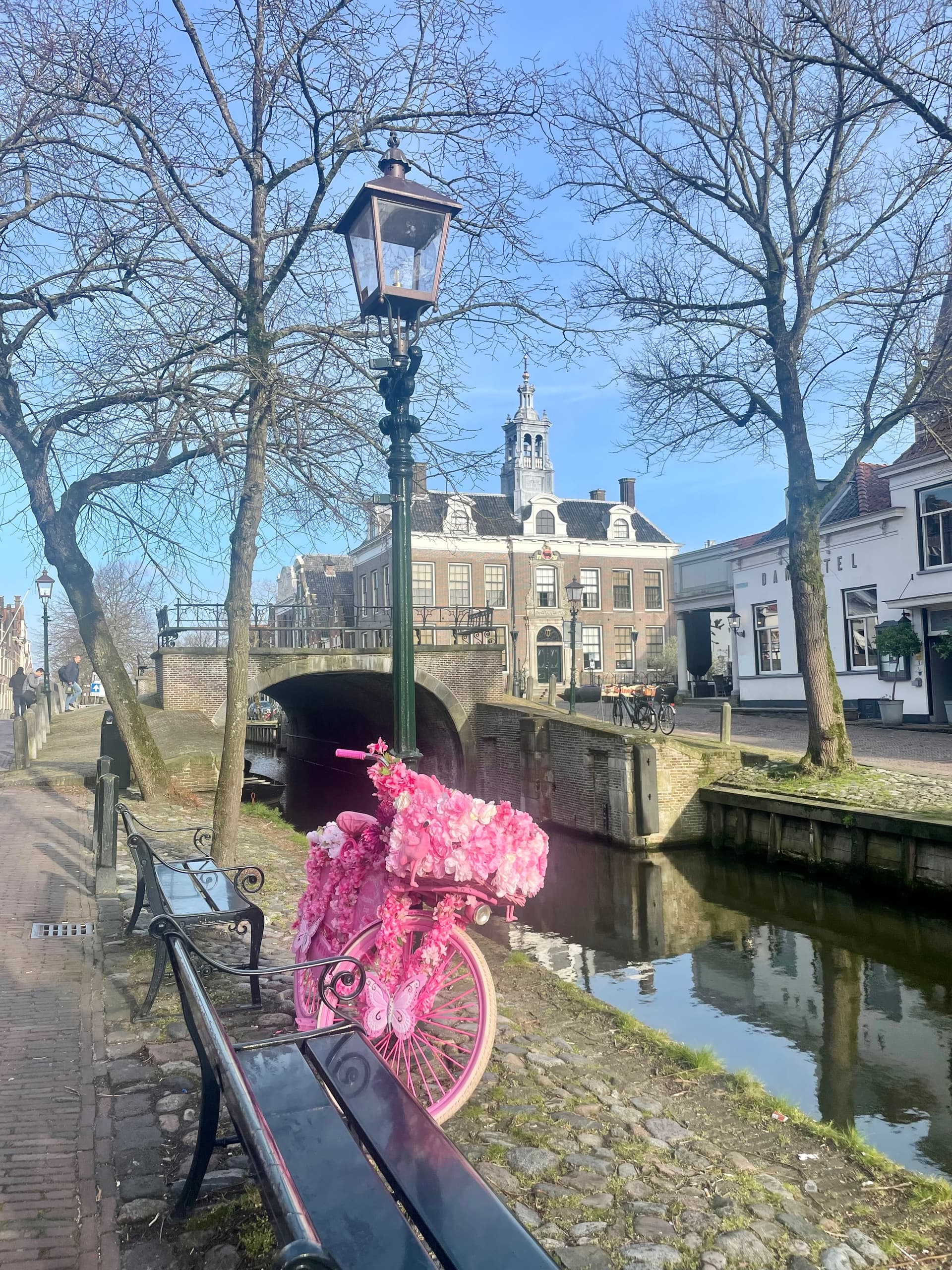 Land Adventures with Windmillgirl Tours in Holland