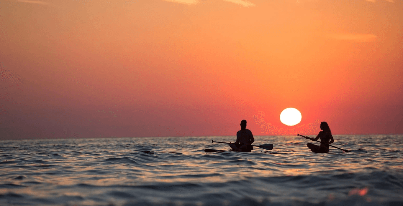 Delivered Paddleboard Rentals in Tampa Bay — Self-Guided SUP with Wildlife and Skyline Views
