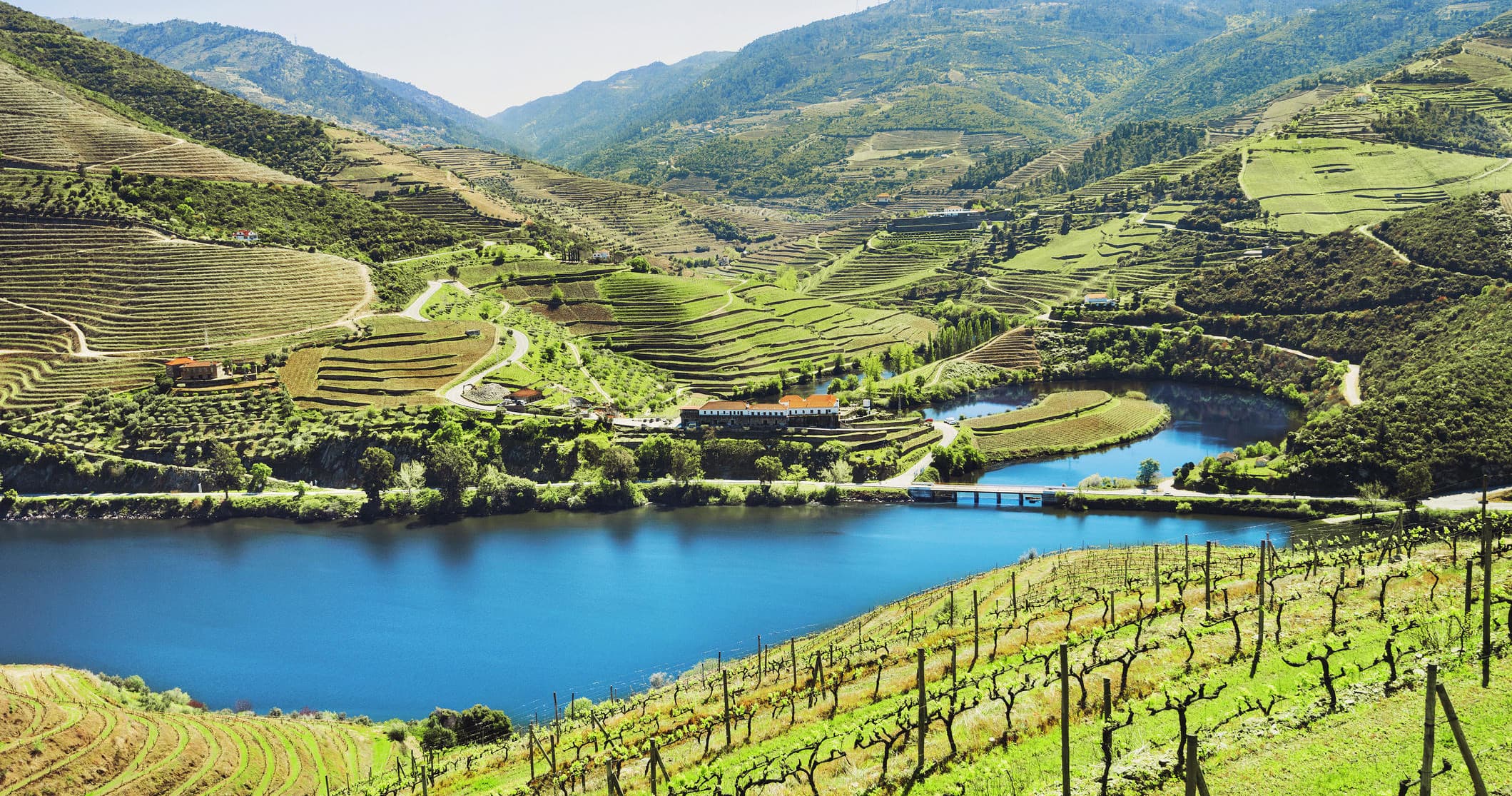 Douro Valley vineyards and blue river lake panorama, Portugal