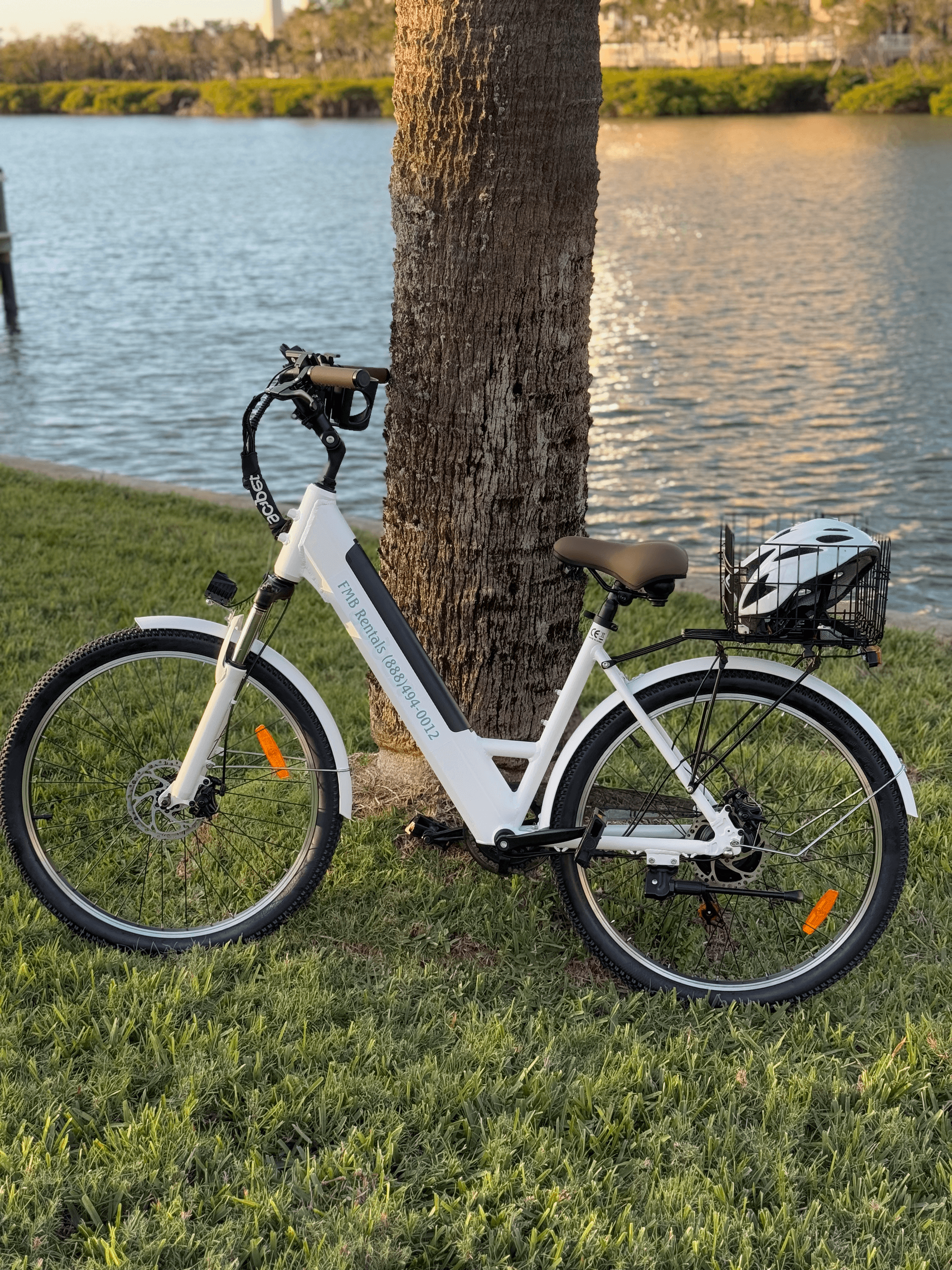 White electric bike parked by lakeside palm tree at sunset
