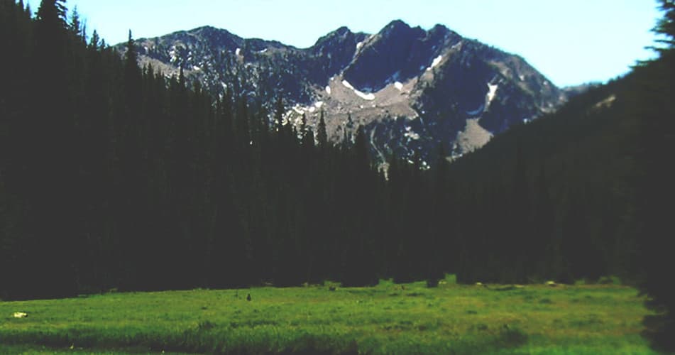 Mountain Meadow Adventure Rentals, Inc fleet