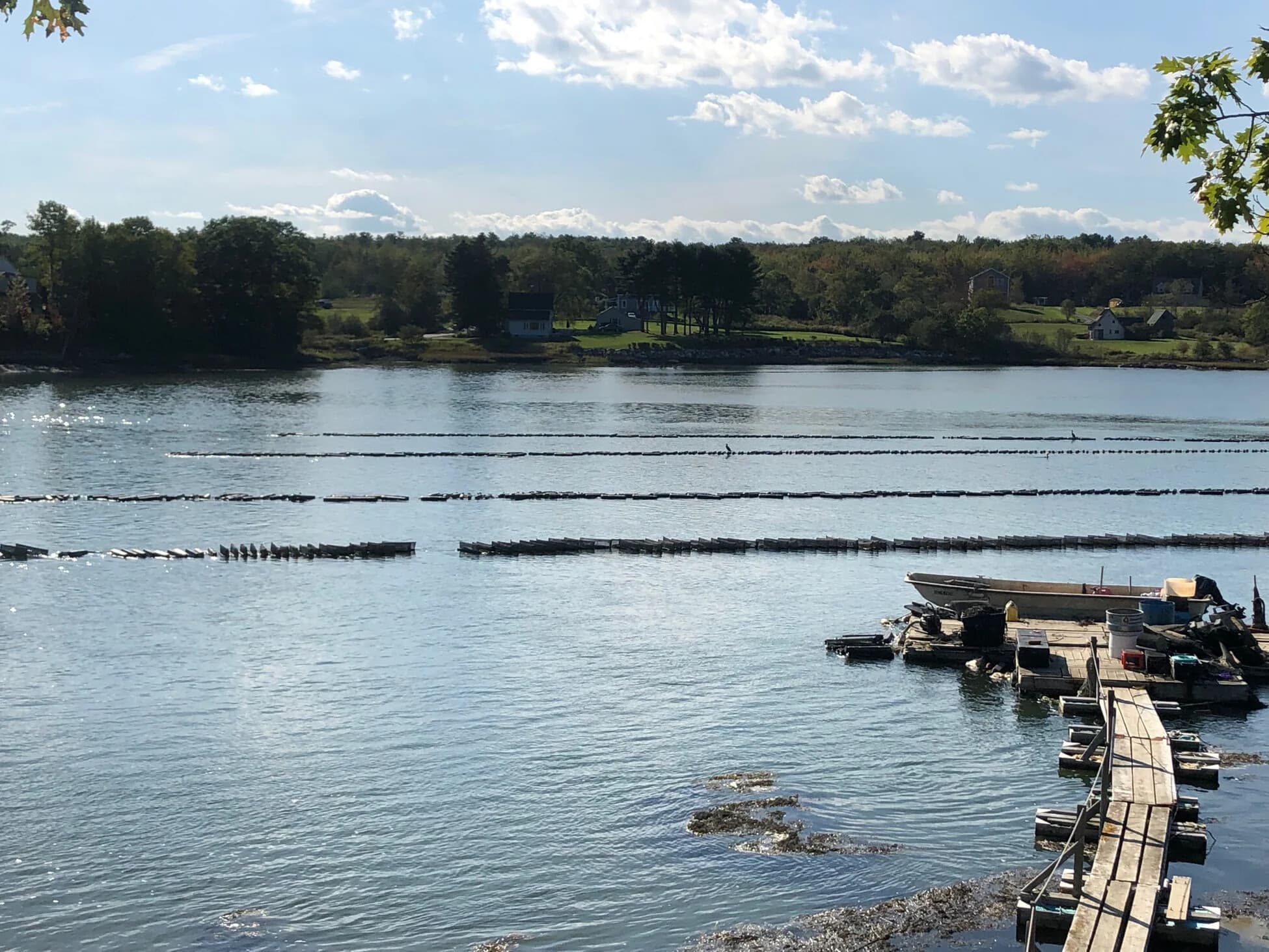 Weskeag Oyster Farm Tour: Taste & Learn on a South Thomaston Oyster Boat