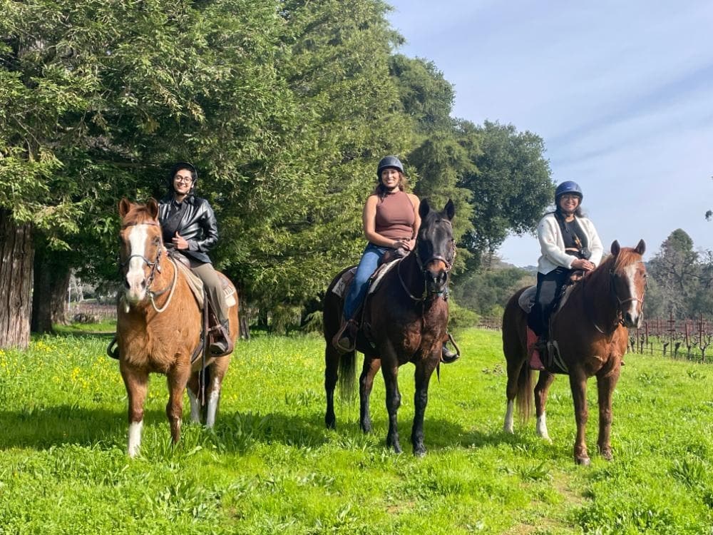 Horseback Vineyard Ride and Estate Wine Tasting at Bartholomew Estate, Sonoma