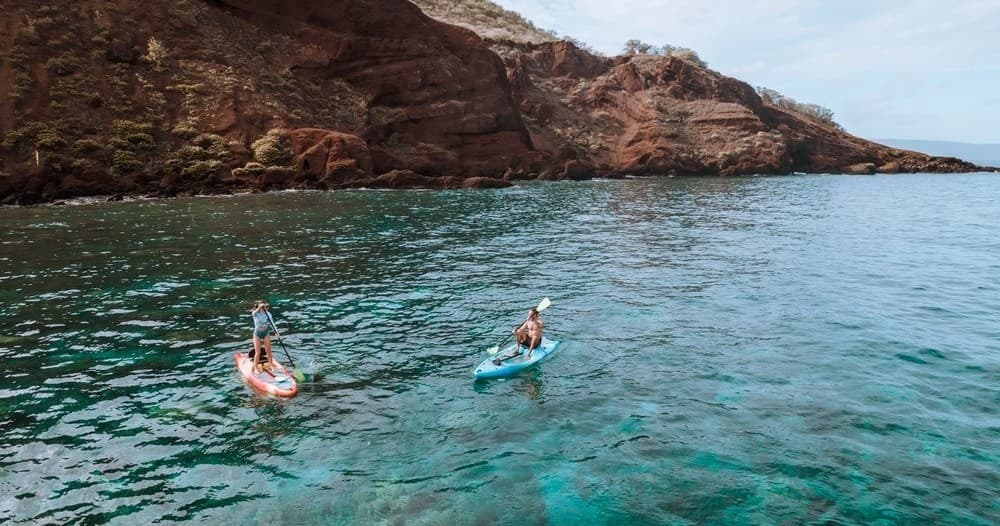 Stand-up paddleboarders on clear ocean near rocky Maui coastline