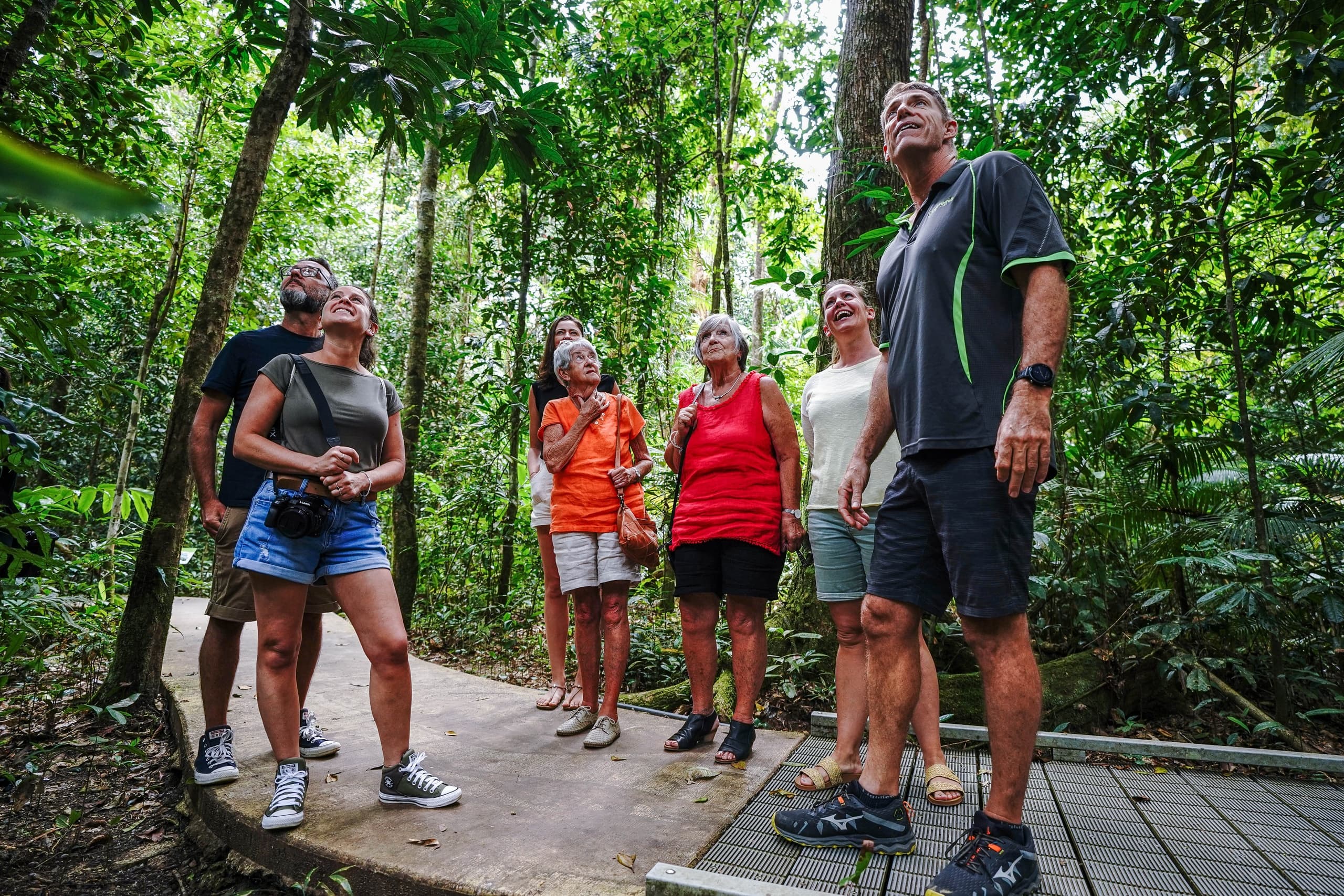 Explore the Total Daintree Experience: Ultimate Day Tour in Queensland's Ancient Rainforest