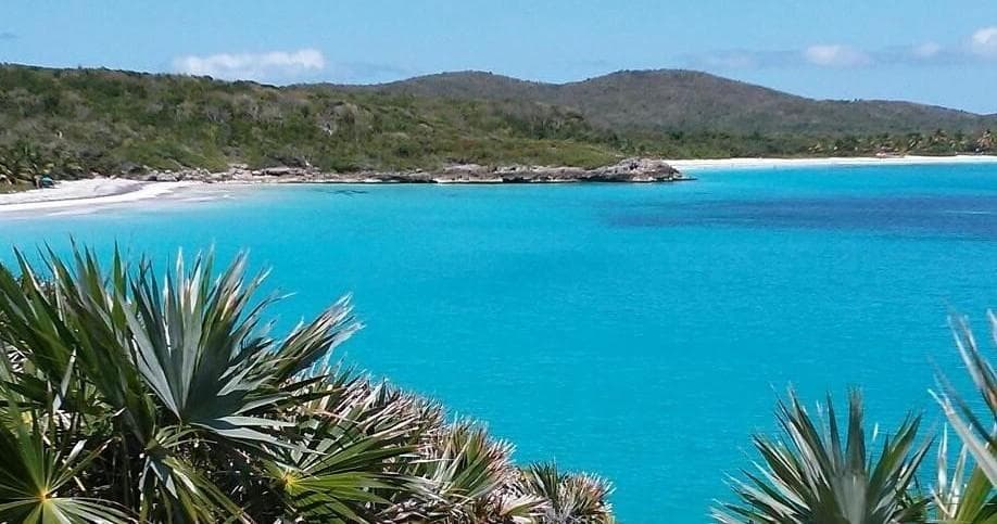 Coastal turquoise bay with palms and scenic beach view