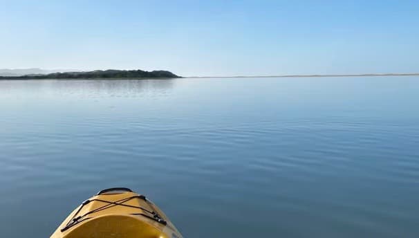 Panama City Kayak Rentals: Paddle Gulf Sandbars and Seagrass Flats