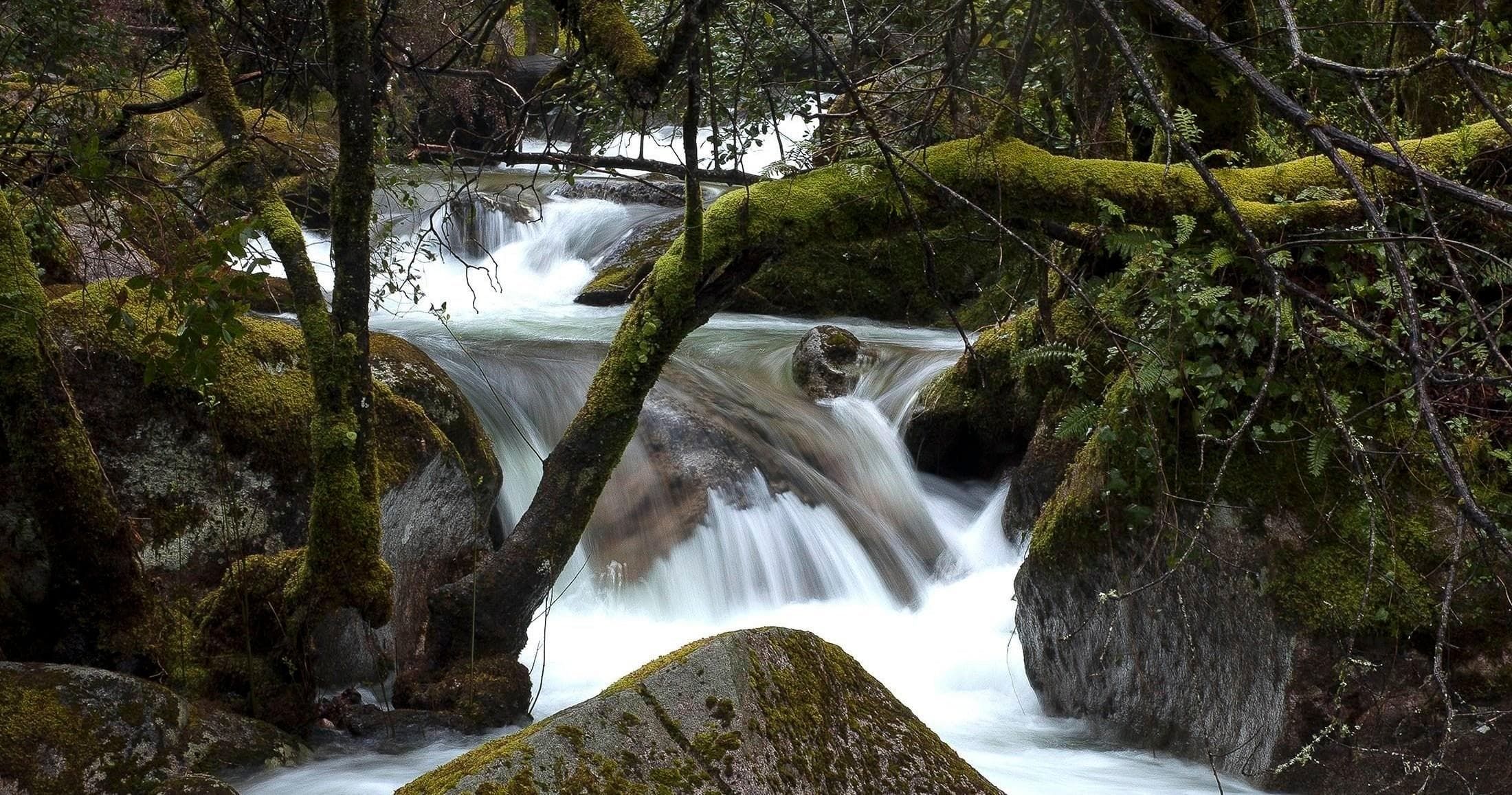 Gerês Tour | Sightseeing Tour in Gerês | Guided Tour, Hiking, Food Tour, Private photo 1