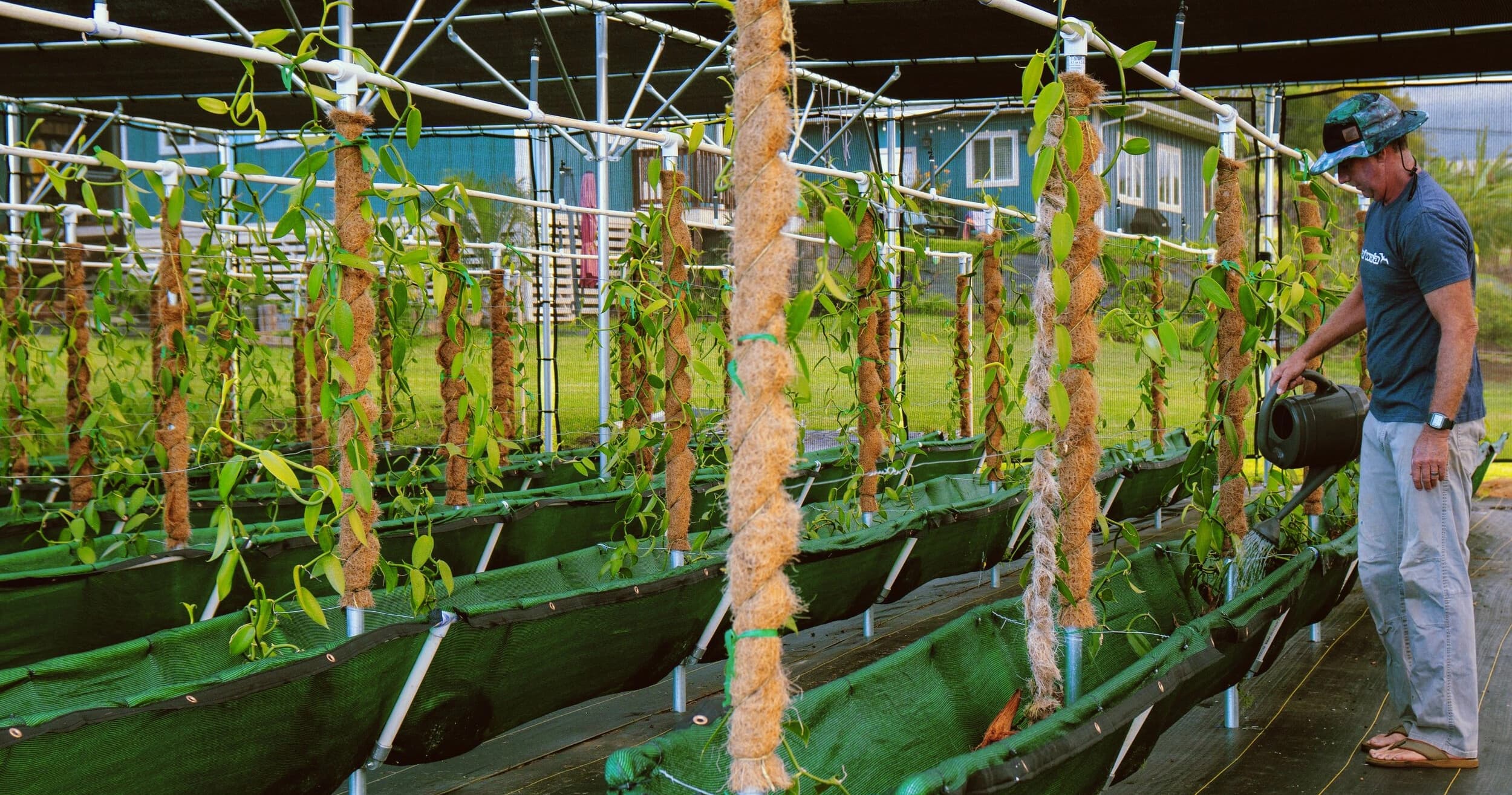 Inside Maui's Only Vanilla Farm: 90-Minute Farm Tour in Haliimaile