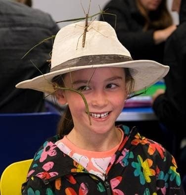 Creepy Crawlies: Family Bug Hunt and Insect Encounters in Newtongrange