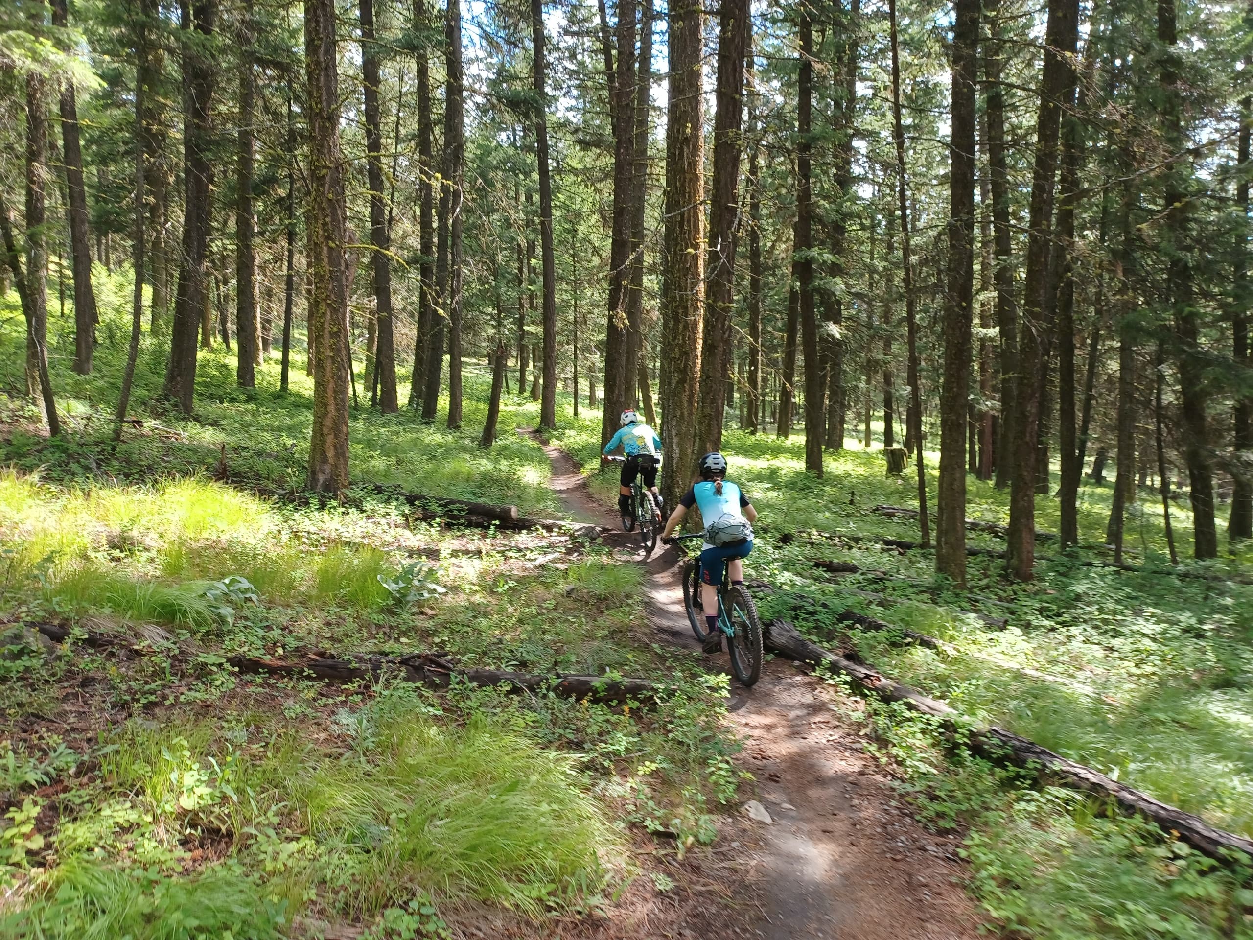Smith Creek Flow & Tech: Guided Mountain Biking in West Kelowna’s Okanagan Singletrack photo 2