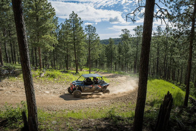 2023 RZR 1000 XP 4-Seater Rental in Yellow Pine, Idaho