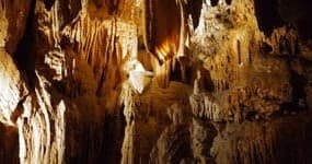 Explore Luray Caverns: A Premier Day Tour Through Virginia’s Underground Wonder