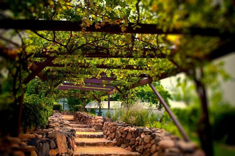 Phoenix to Northern Arizona Wine Country Tour