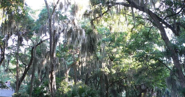 Stress-Free Baby Gear Rentals on Hilton Head Island for Family Adventures