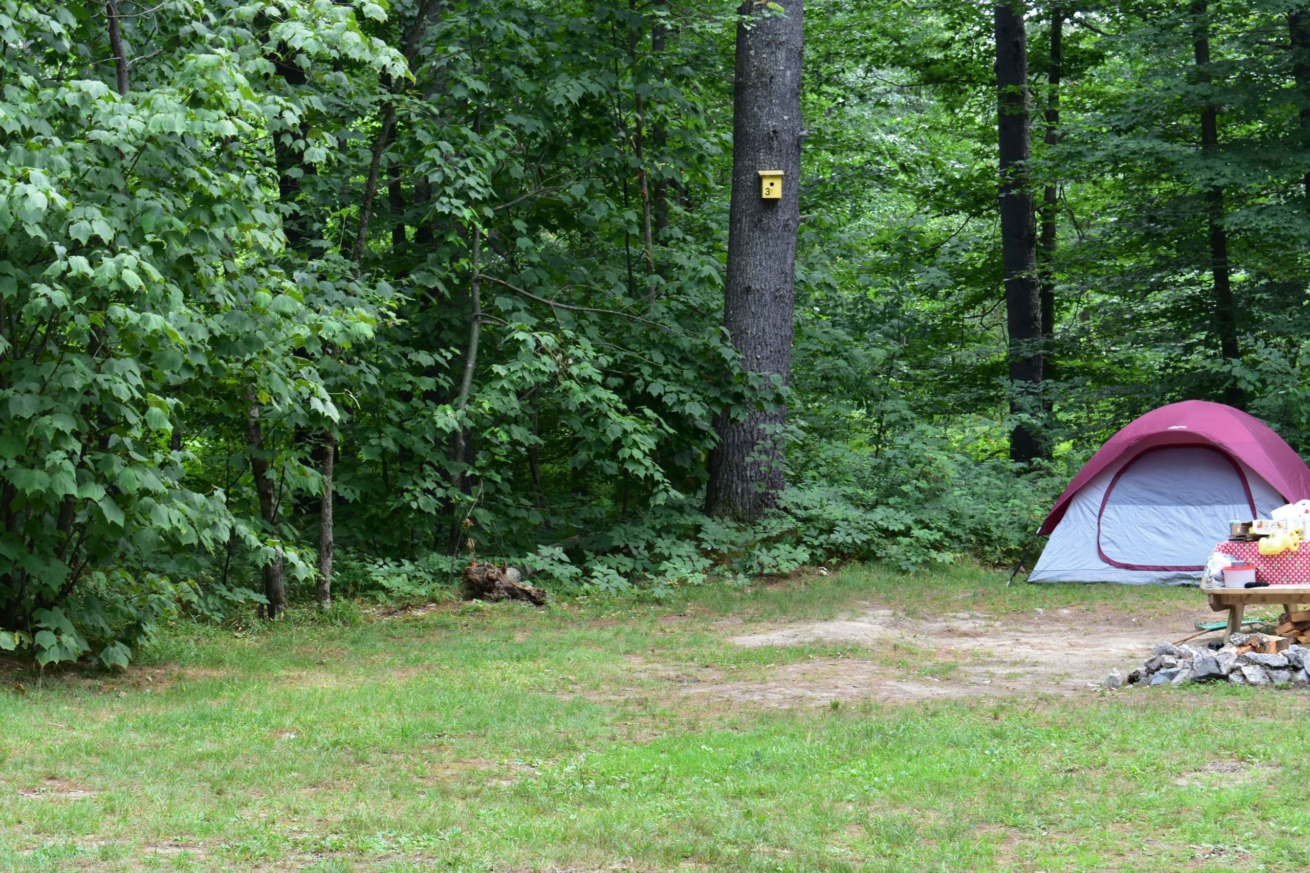Land Adventures at Canal Bridge Campground - Campsite 31