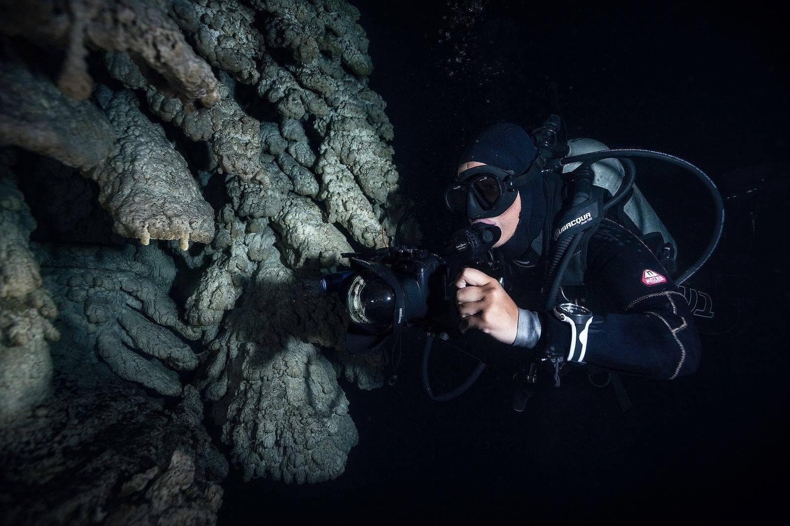 Deep Life’s Cenote Diving Adventure near Cancún