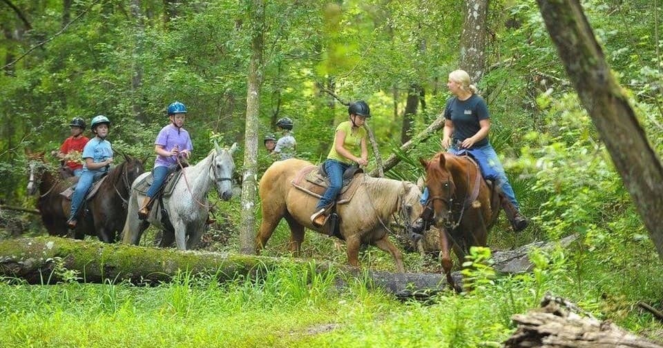 Explore Florida’s Woodlands on a Half Day Horseback Adventure Near Jacksonville