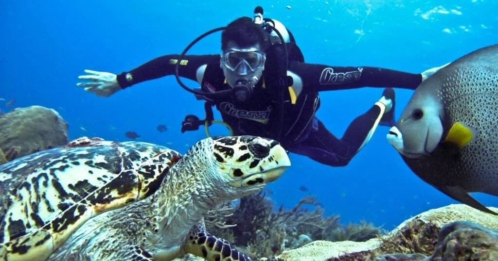 Water Activities with Journey Vallarta Tours: Scuba Diving at Majahuitas