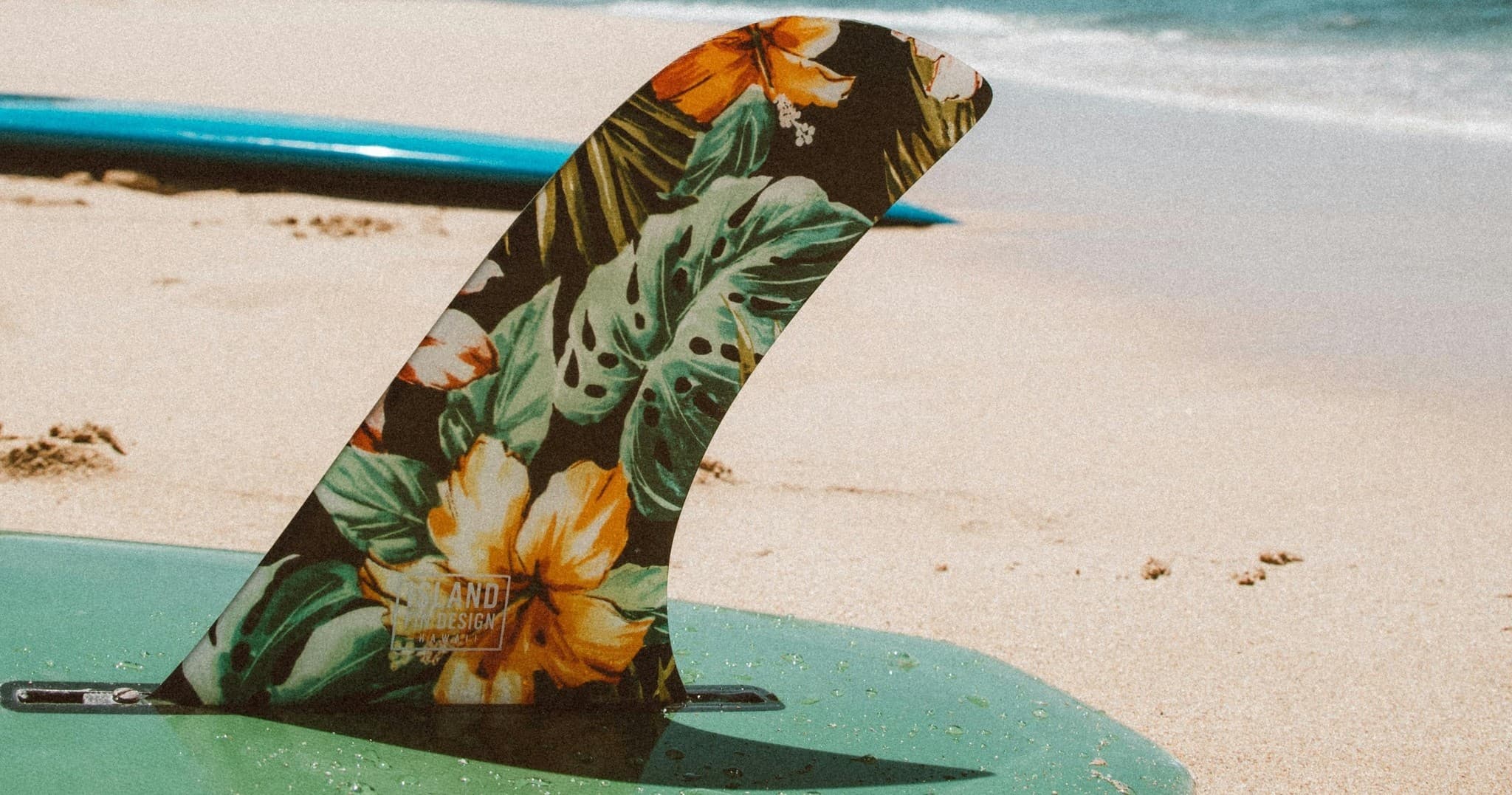 Surf Gear Rental with Whangamata Surf School