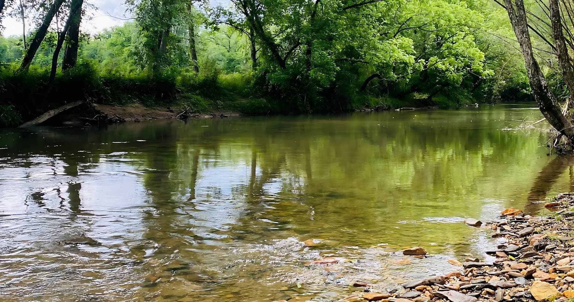 Water Activities: Laytown to Ferguson Kayak Trip with Upper Yadkin Outfitters